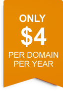 only $4 per domain per year